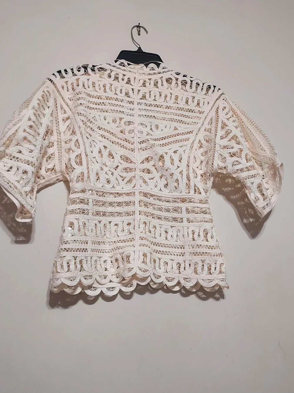 Zara Zw Collection Sheer Lace Crochet Short-Sleeve Top in Cream Sz-M